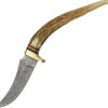 Damascus Stag Tip Skinner (3.13")