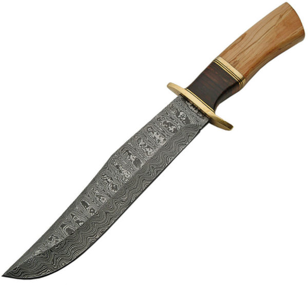 Damascus Olive Wood Damascus Bowie (9.25")