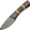 Damascus Fixed Blade Stag and Wood (3.5")