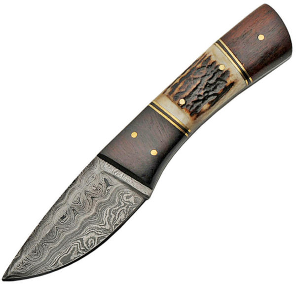 Damascus Fixed Blade Stag and Wood (3.5")