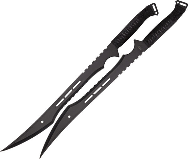 Miscellaneous Twin Sword Set