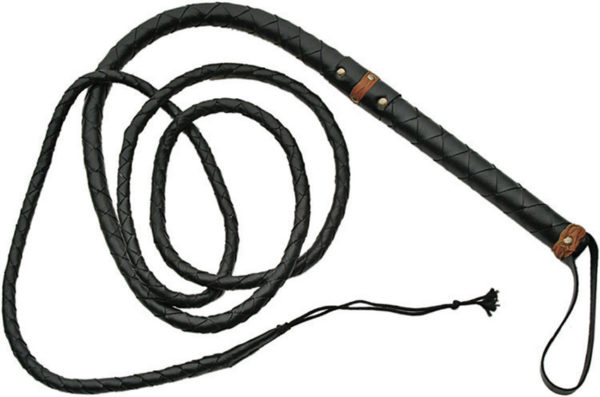 Pakistan Bullwhip