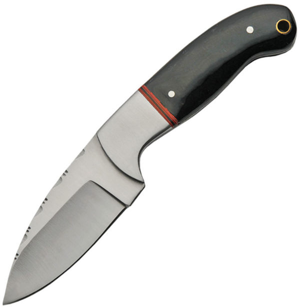 Pakistan Skinner Horn (3")