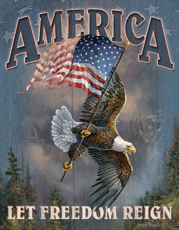 Tin Signs Let Freedom Reign