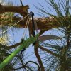 HME Extendable Pole Saw