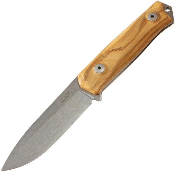 LionSTEEL B41 Bushcraft Olive Wood (4.13")