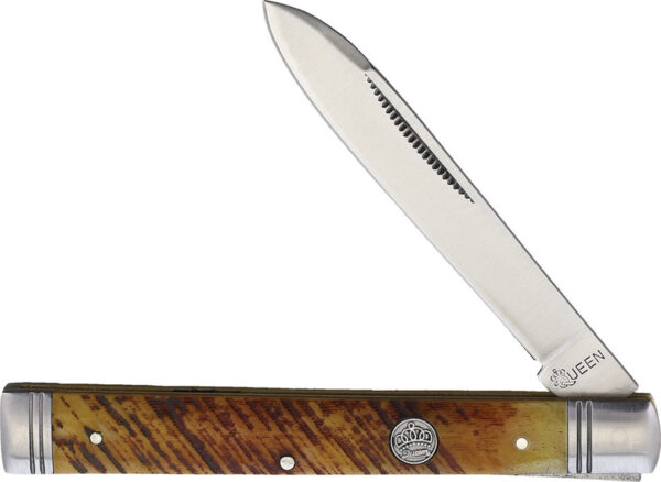 Queen Doctor\'s Knife