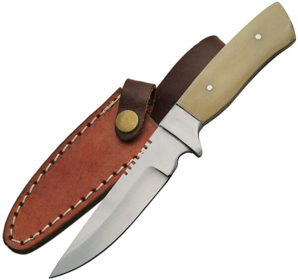 Pakistan Fixed Blade Skinner (3.5")