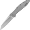 Kershaw Random Leek Framelock A/O (3")