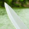 Smith’s Sharpeners Lawaia Ceramic Fixed Blade (4.75″)