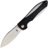 Kizer Cutlery Infinity Linerlock G10 (3")