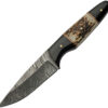 Damascus Fixed Blade Buffalo/Stag (4.5")