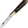 OTTER-Messer Small Hunting Pocket Knife (2.25")