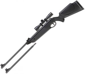 Beeman Black Cub .177/.22 Air Rifle