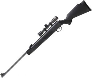Beeman Black Bear Air Rifle