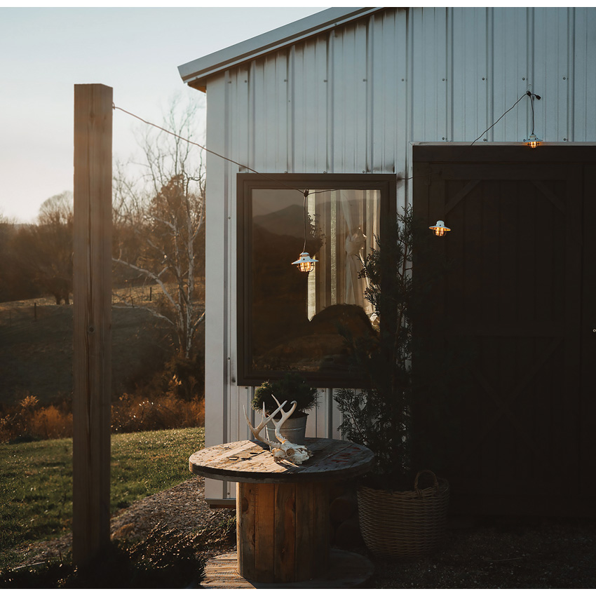 Barebones Living Edison Pendant Light Barebones Living Edison Pendant Light
