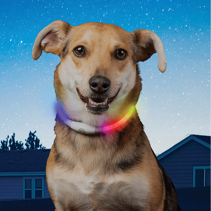 Nite Ize NiteHowl Safety Necklace Nite Ize NiteHowl Safety Necklace