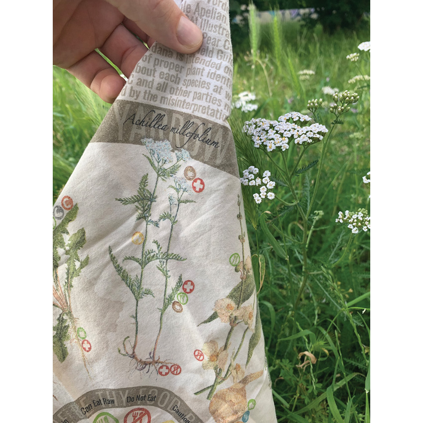 Wazoo Survival Gear Neck Gaiter Foraging Reference Wazoo Survival Gear Neck Gaiter Foraging Reference