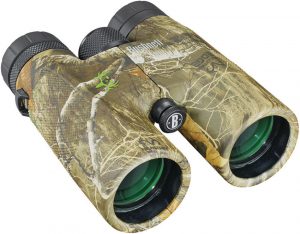 Bushnell Powerview 10×42 Binoculars