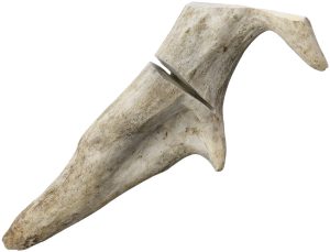 Silver Stag Antler Tip Stand