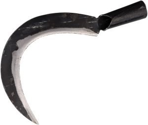 BR Rinaldi Scansano Slasher