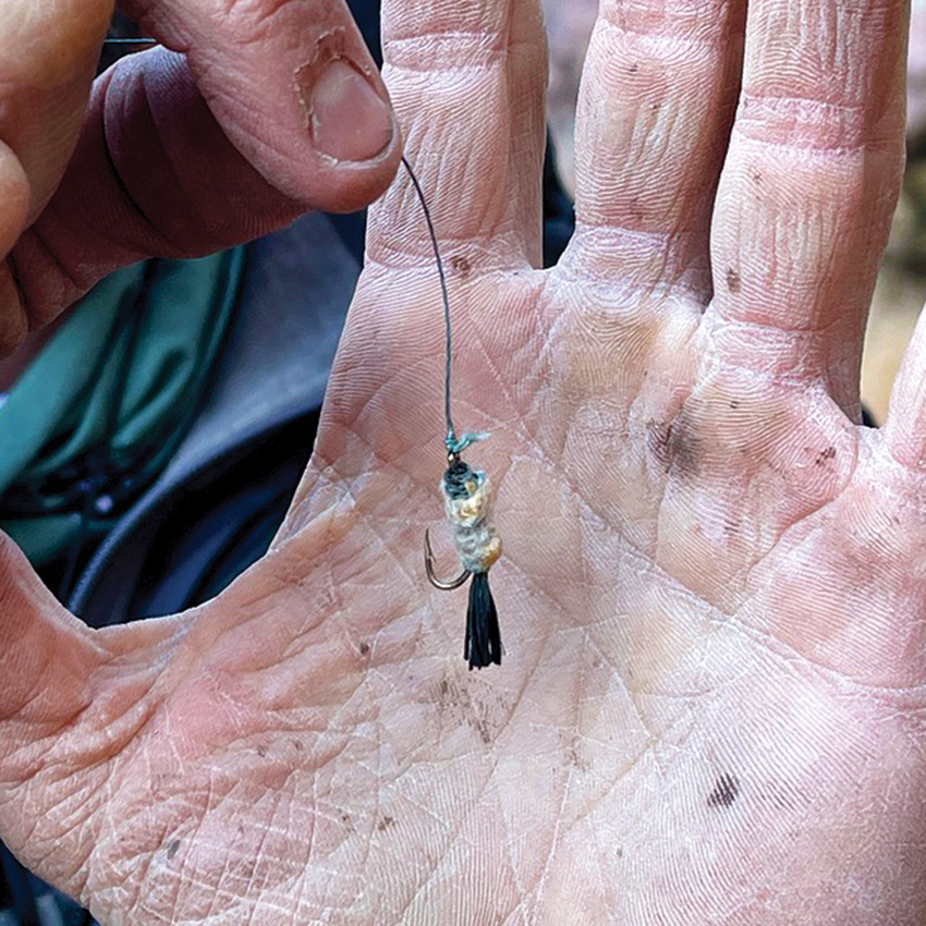 Wazoo Survival Gear Essentials Kit Wazoo Survival Gear Essentials Kit