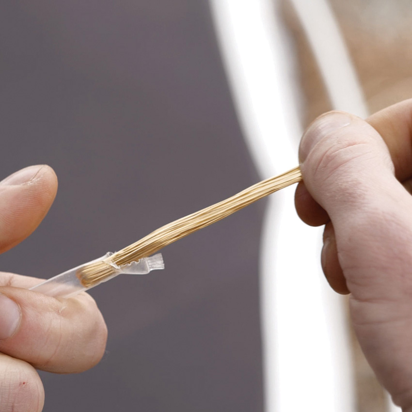 Wazoo Survival Gear Essentials Kit Wazoo Survival Gear Essentials Kit