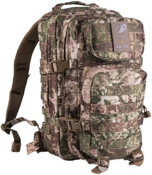 Mil-Tec Assault Backpack Small