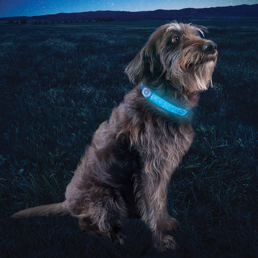 Nite Ize Nitedog LED Collar Cover Nite Ize Nitedog LED Collar Cover