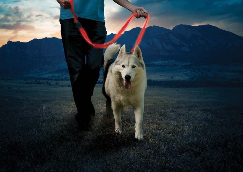 Nite Ize Nitedog Rechargeable Leash Nite Ize Nitedog Rechargeable Leash
