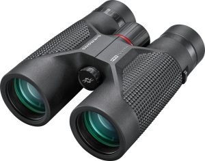 Simmons Pro Hunter 10×42 Binocular